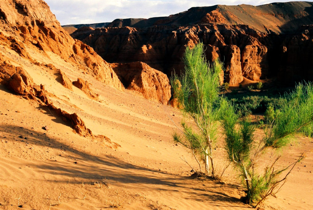 The best of Gobi Desert, Mongolia