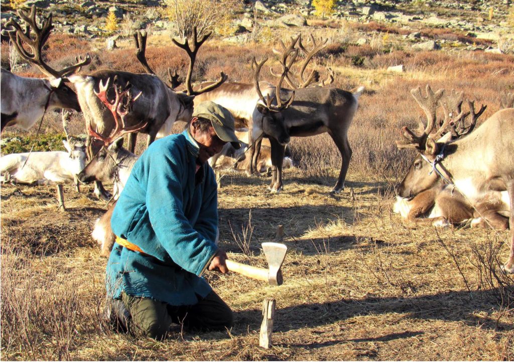 Adventure tour to Reindeer herder