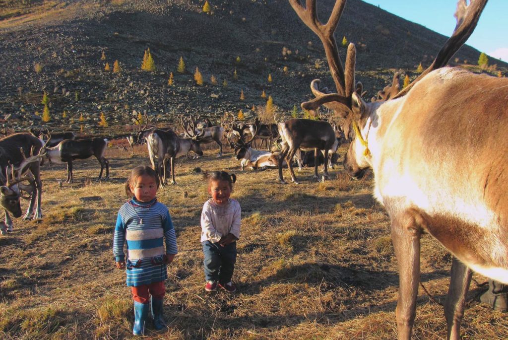 Reindeer tribe in Mongolia