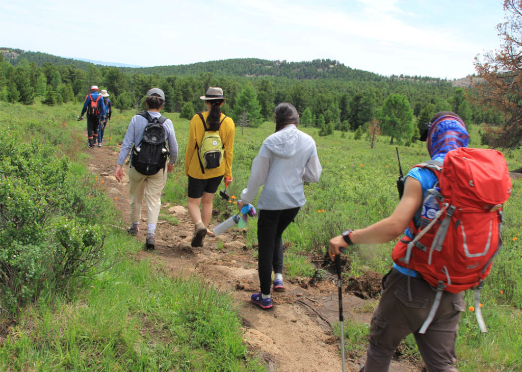 Trekking in Mongolia